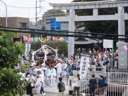 torii