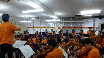 NFF-13