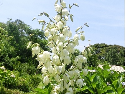 atubakimigayo 1