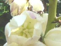 atubakimigayo 5