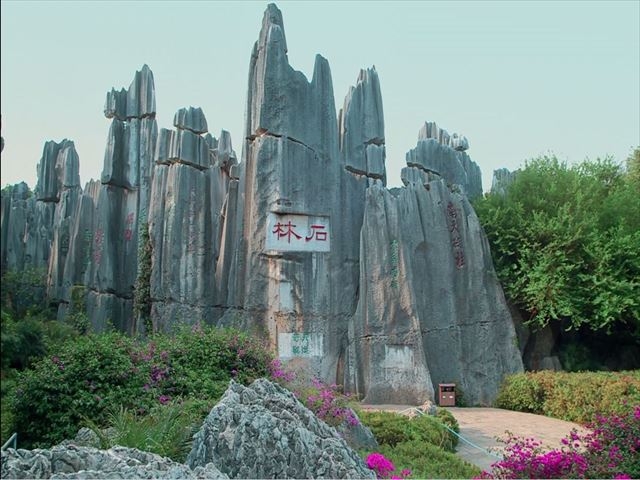 周辺の最大の観光地　世界自然遺産に登録されている石林。蝋燭の様な石や四角い尖った石が林立している日本では見た事の無い様な風景が広がる。