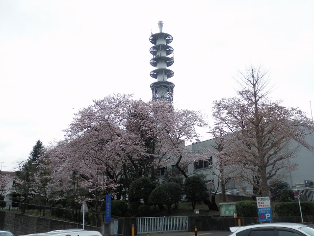 410.fujisawa kanisaiban 