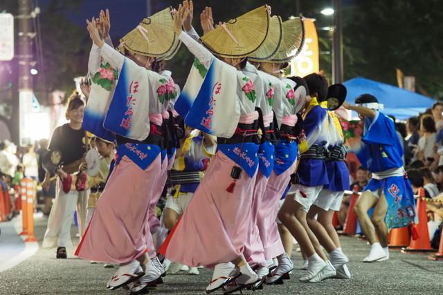 awaodori08