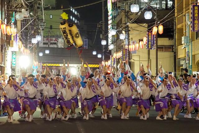 awaodori12