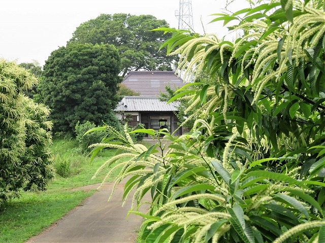 200607 4