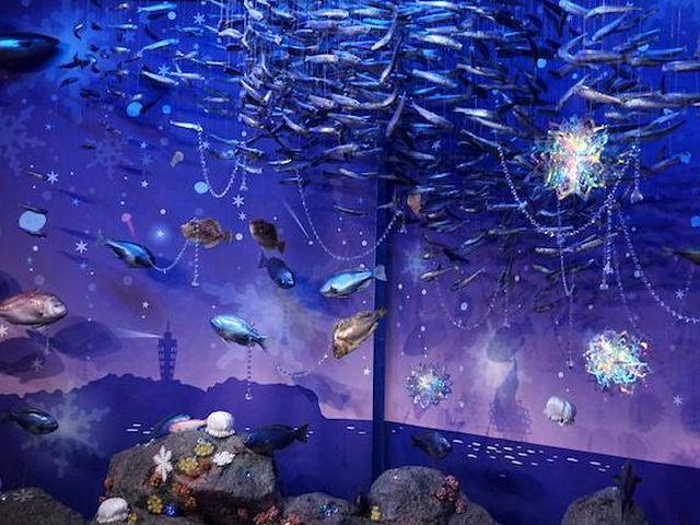 新江ノ島水族館は冬季イベント「Jewerium」