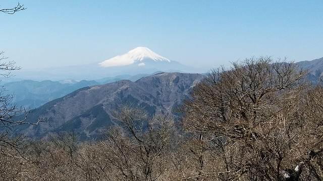 大山山頂裏からの富士山