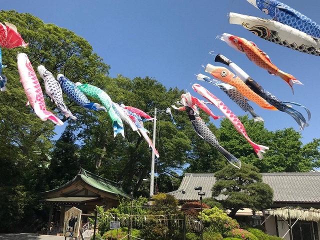 koinobori2