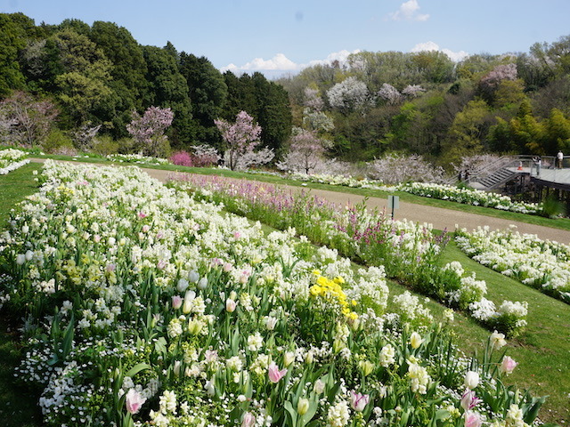 横浜　里山ガーデンフェスタ