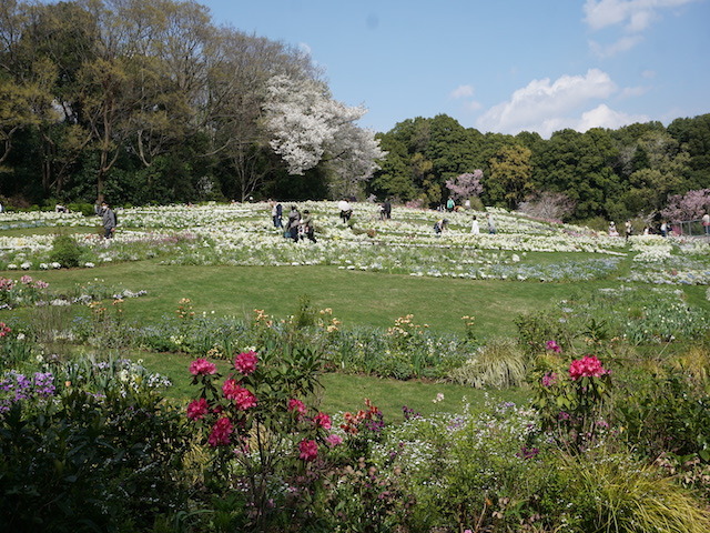 横浜　里山ガーデンフェスタ